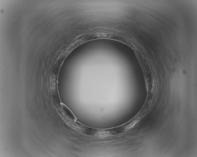 X0000053070413200508011945