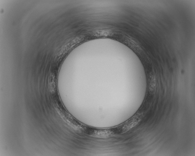 X0000053070414200508011945