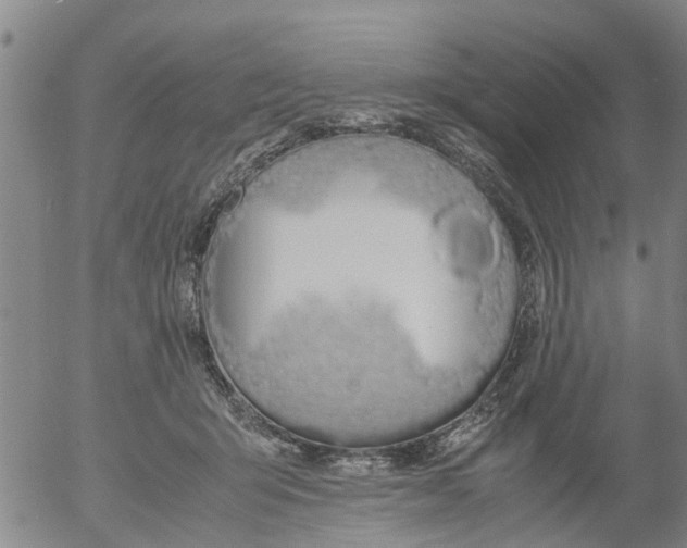 X0000053070415200508011945