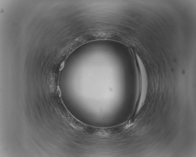 X0000053070416200508011945