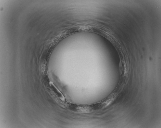 X0000053070417200508011945