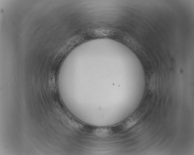 X0000053070418200508011945