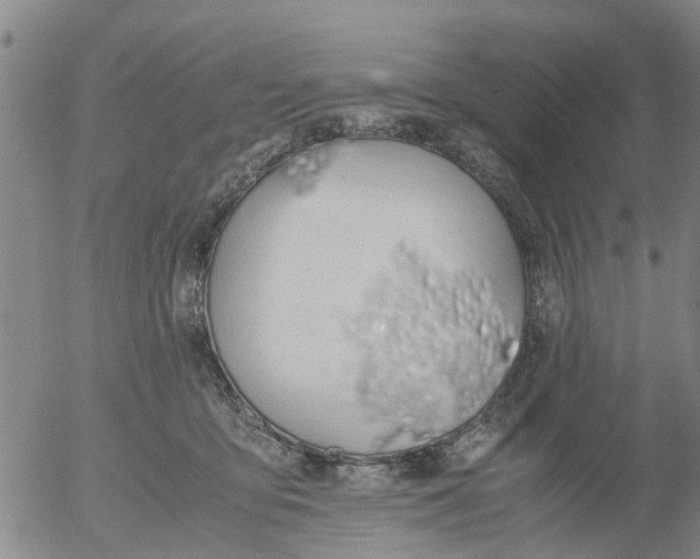 X0000053070419200508011945