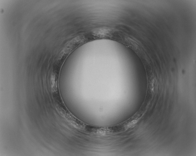 X0000053070420200508011945