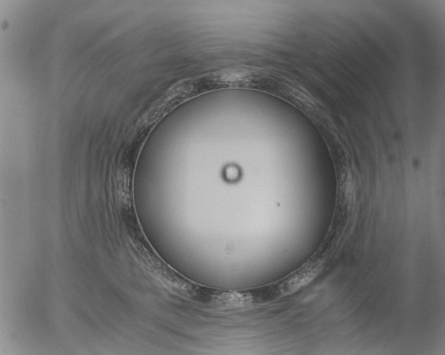 X0000053070421200508011945