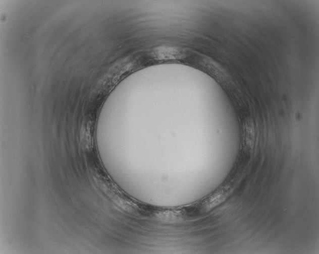 X0000053070422200508011945