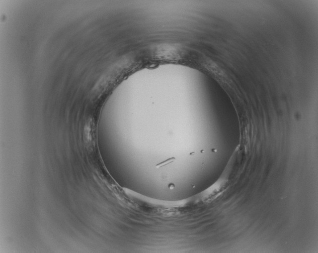 X0000053070424200508011945