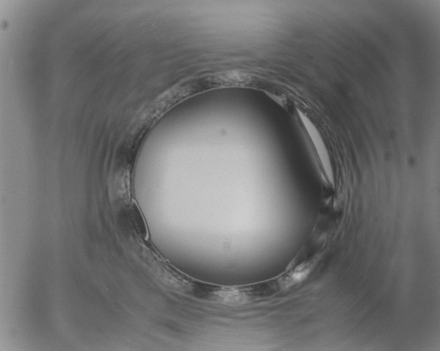 X0000053070425200508011945