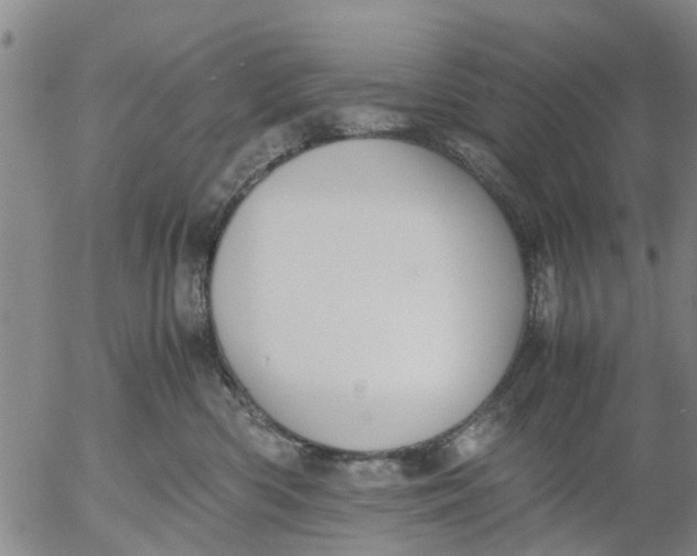 X0000053070426200508011945