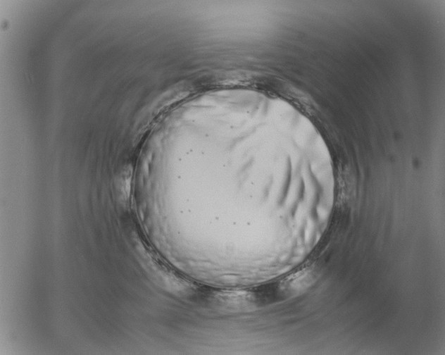 X0000053070427200508011945