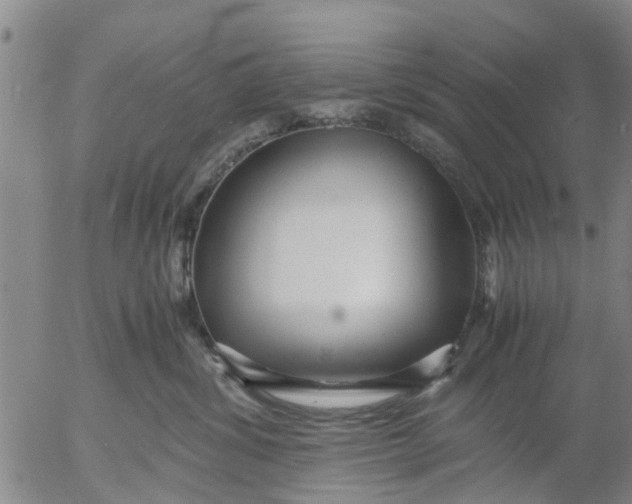 X0000053070428200508011945