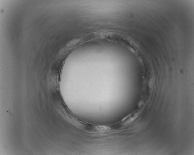 X0000053070429200508011945