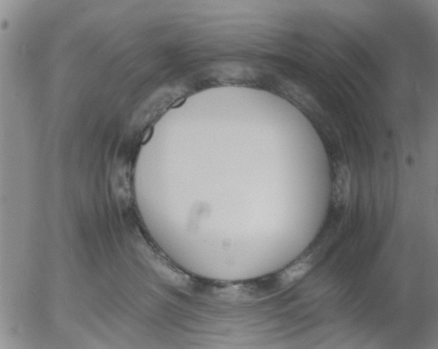 X0000053070430200508011945