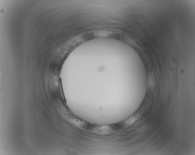 X0000053070431200508011945