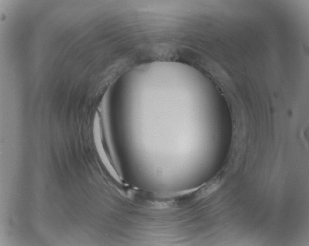 X0000053070432200508011945