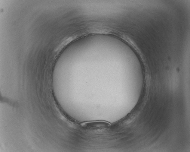 X0000053070433200508011944