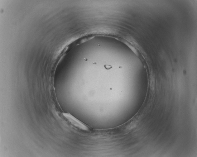 X0000053070434200508011944