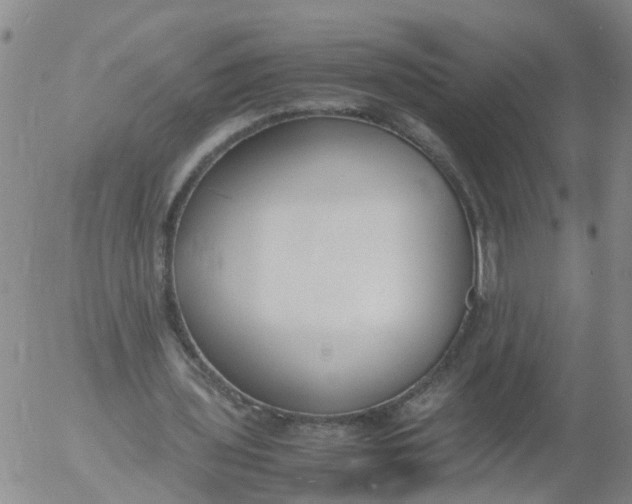 X0000053070435200508011944