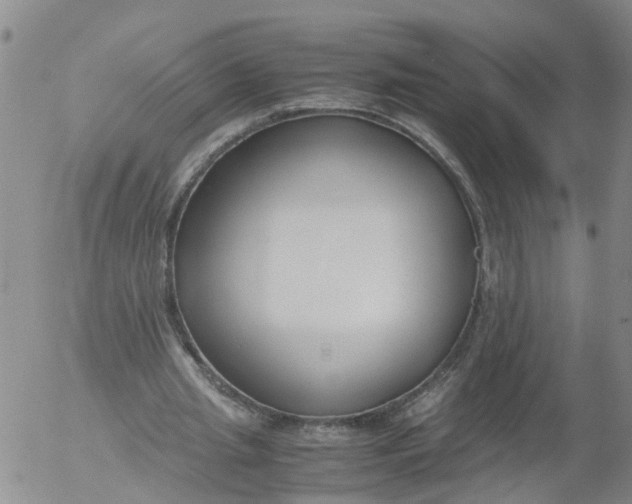 X0000053070437200508011944