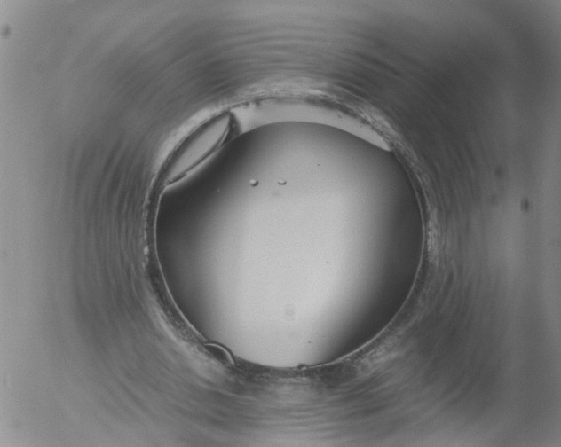 X0000053070438200508011944