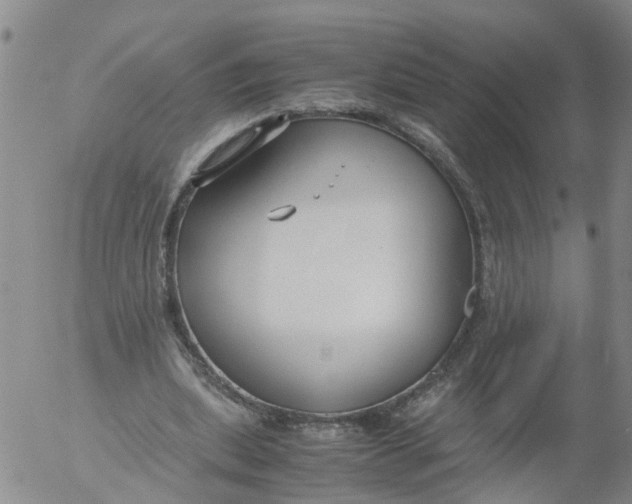 X0000053070439200508011944