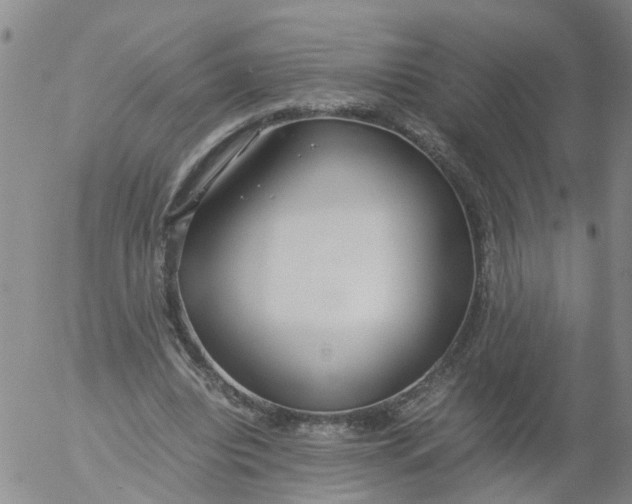 X0000053070440200508011944