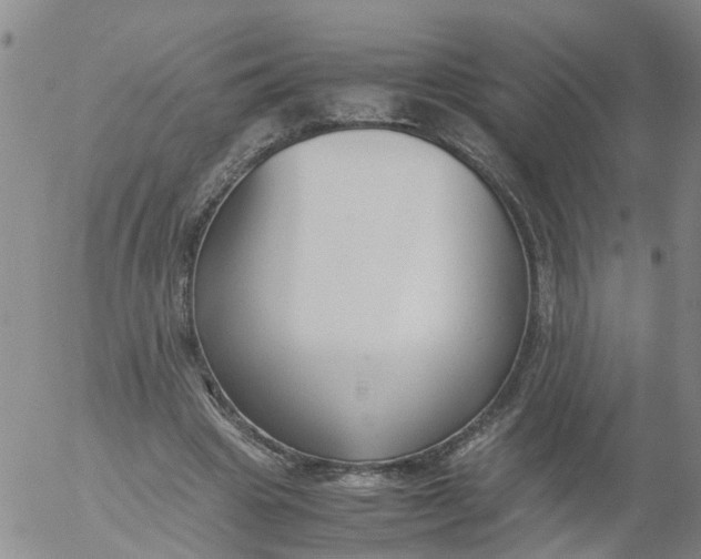 X0000053070441200508011944