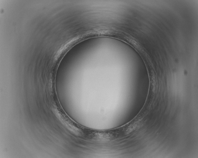 X0000053070442200508011944