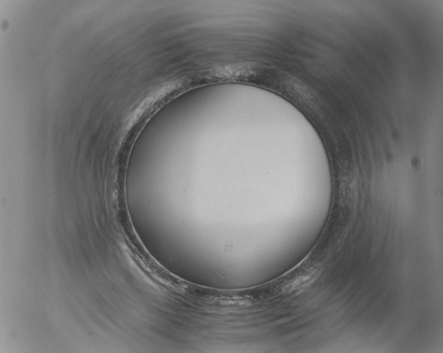 X0000053070443200508011944