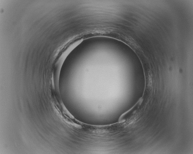 X0000053070444200508011944