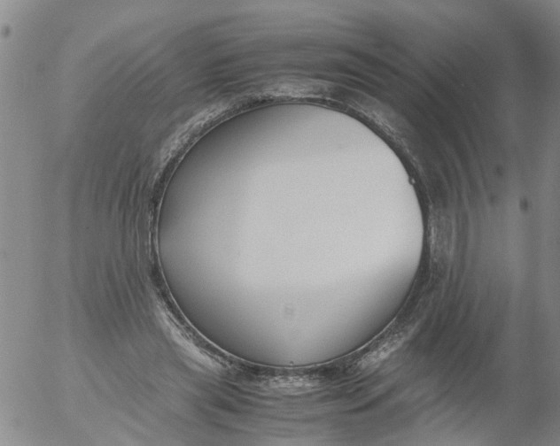 X0000053070445200508011944