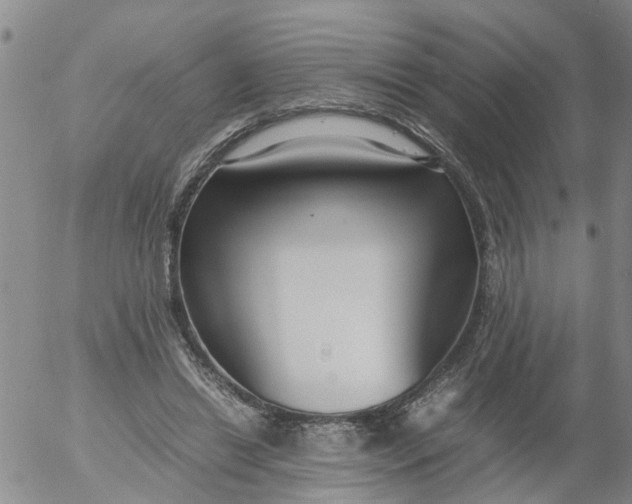 X0000053070446200508011944