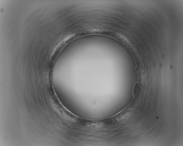 X0000053070447200508011944