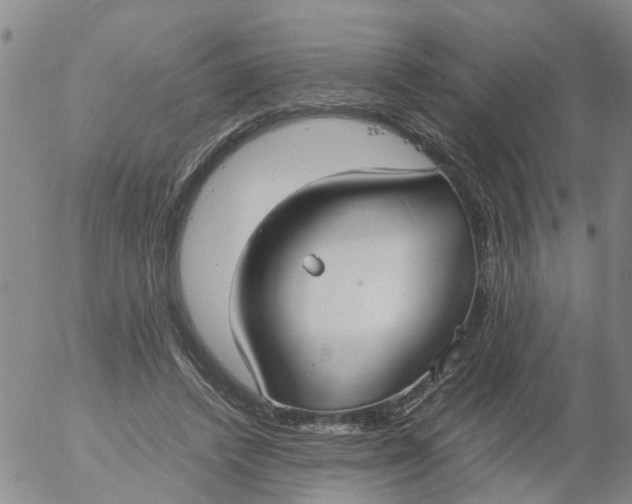 X0000053070448200508011944