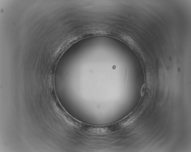 X0000053070449200508011944