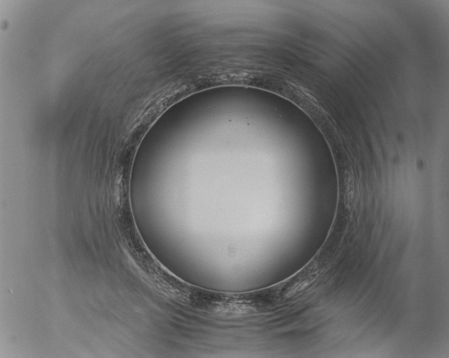 X0000053070451200508011944