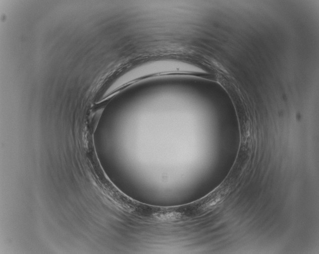 X0000053070452200508011944