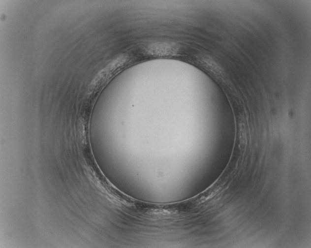 X0000053070453200508011944