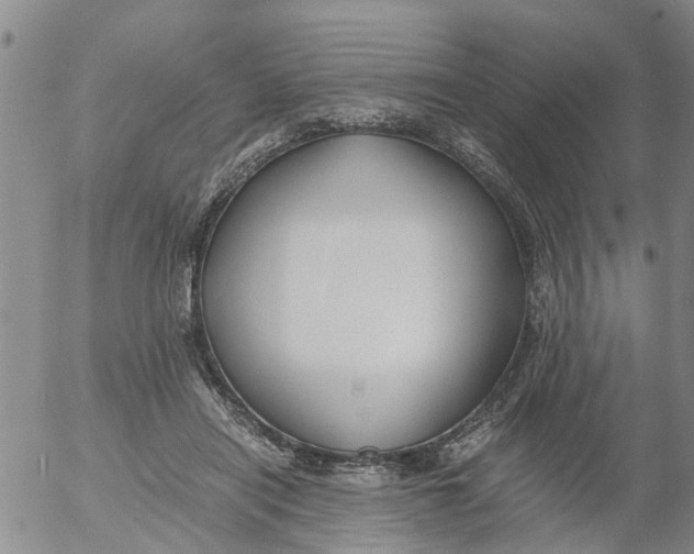 X0000053070454200508011944