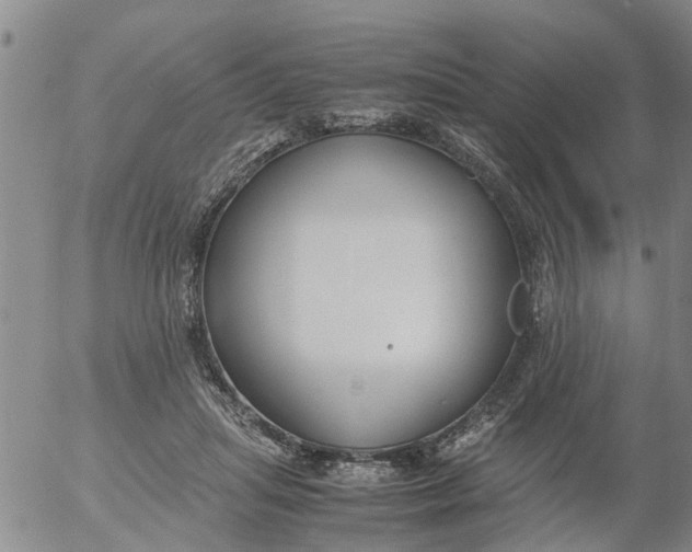 X0000053070455200508011944