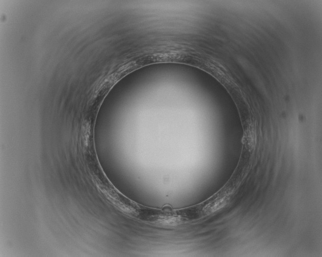 X0000053070458200508011944