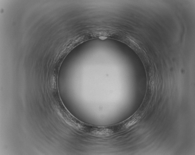 X0000053070459200508011944