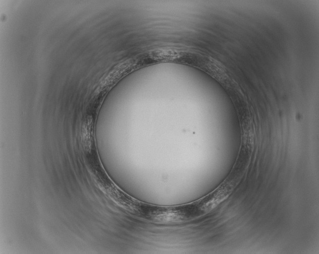 X0000053070460200508011944