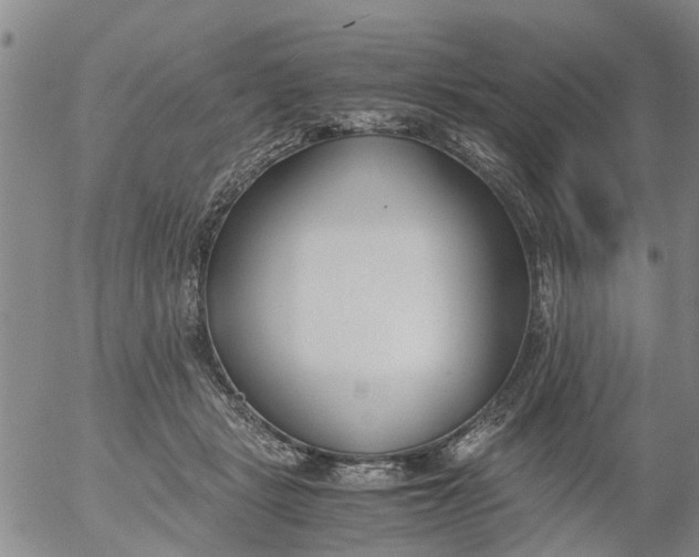 X0000053070461200508011944