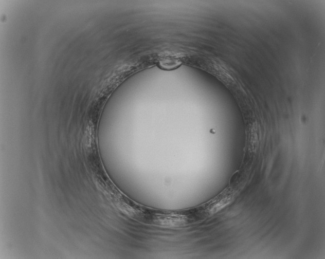 X0000053070463200508011944