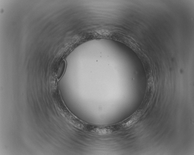 X0000053070464200508011944