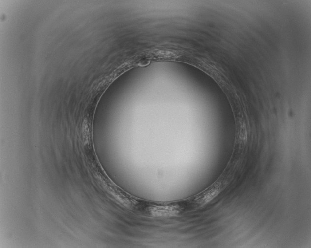 X0000053070465200508011944