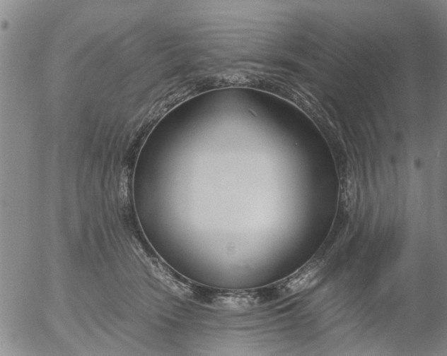 X0000053070466200508011944