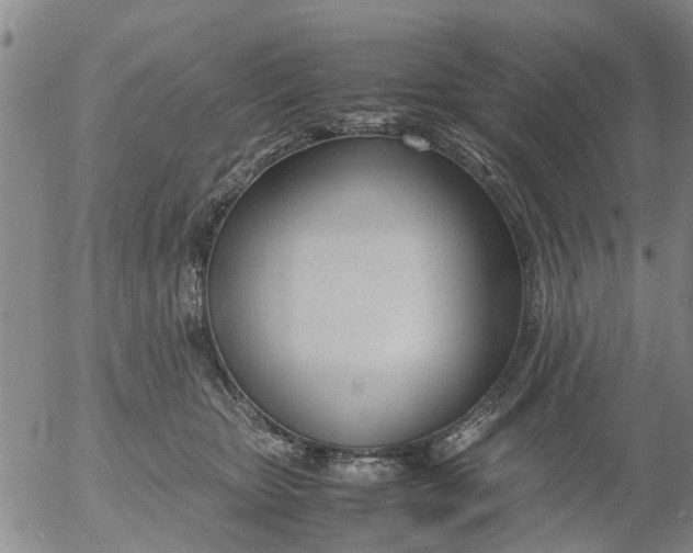 X0000053070467200508011944