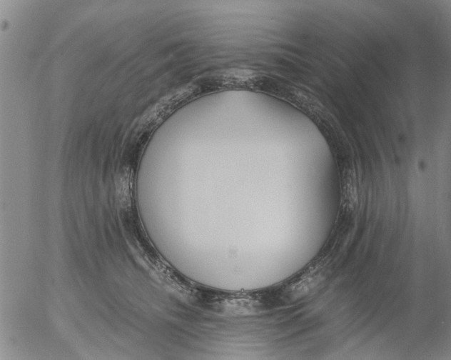 X0000053070468200508011944